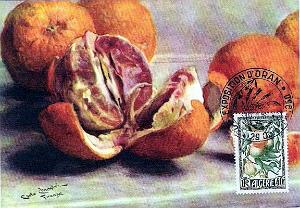 TIMBRES DE LA FOIRE D ORAN 1952   (6)